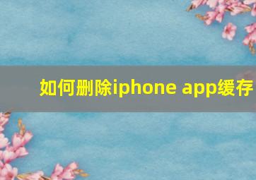 如何删除iphone app缓存